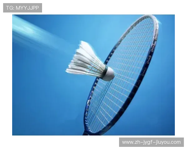 羽毛球测速区建设与优化方案探讨及其对竞技水平提升的影响分析